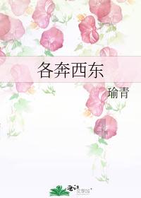小边牧刚来新家不吃怎么办?-专业问答社区